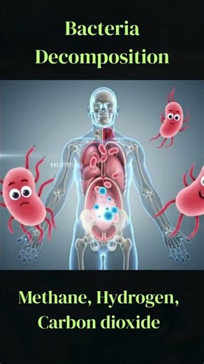 Bodies Sink… Then Float — Here’s Why