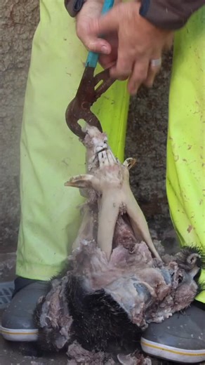 Ryan Olsen on Instagram: "Finishing up the @grakksaw E-Boiler film for tomorrow. Thought you might did a few highlights !!! #eboiler #whitebonecreations #whitebone"