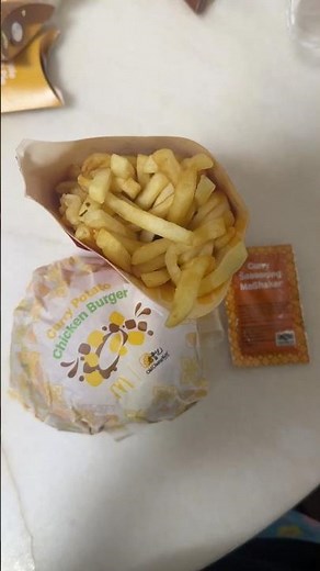 McDonald’s Curry Potato Chicken Burger & Curry McShaker Fries Review | Is It Worth It?