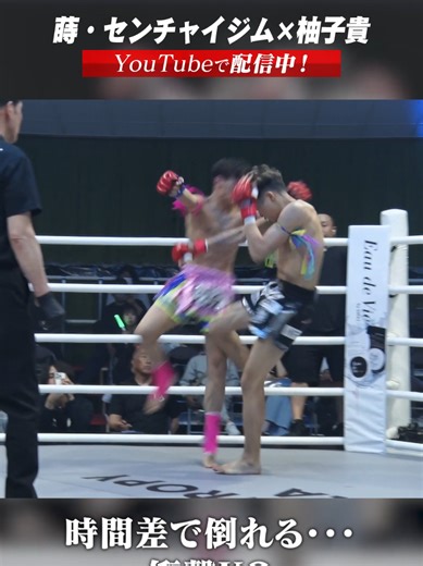 衝撃のキックボクシングKOシーン