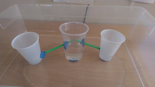 Build an Irrigation System | STEM Activity