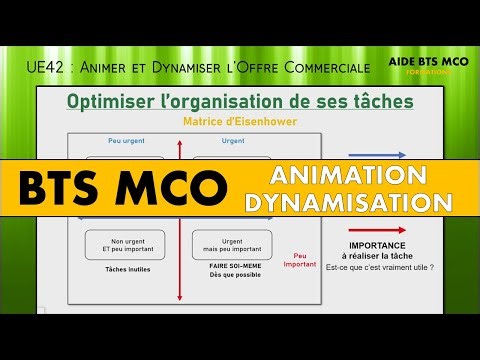 AIDE BTS MCO | Comment utiliser la matrice d'Eisenhower ? | ANIMATION et DYNAMISATION