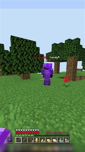 Я Просто Выполнял КВЕСТ... #minecraft #reallyworld #sunway