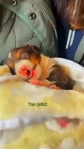 Czekał na swój moment