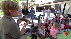 Did you catch the The Great Day Out on on Channel 7 Queensland on Sunday? The free, family-friendly school holiday events at our Downfall Creek Bushland Centre and Karawatha Forest Discovery Centre were featured! We’re dedicated to growing your Brisbane lifestyle these school holidays so check out everything there is to see and do: https://bne.cc/31Rk38U. | Brisbane City Council