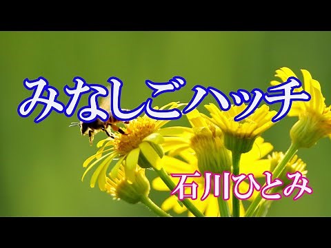 みなしごハッチ / 石川ひとみ (歌詞入り)