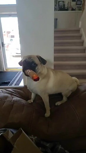 Sarah R on TikTok