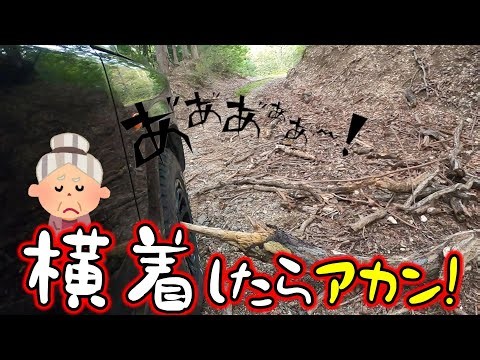 Don't be lazy on the forest road! How to beat the vice captain's traps!