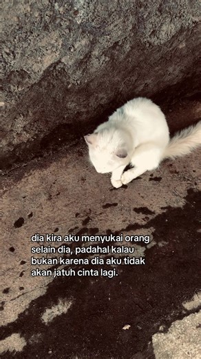 Cinta yang Hilang: Cerita Galau dan Perasaan