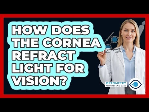 How Does The Cornea Refract Light For Vision?