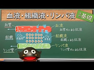 Definition and Role of Blood, Tissue Fluid, and Lymph [082 Basic Biology] New Curriculum