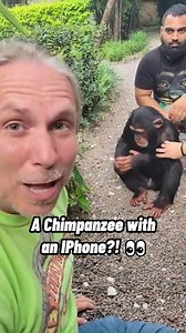Ever Seen A Chimpanzee Play With an IPhone?! 👀😳🙈😂 #chimpanzee #iphone #animal #smart #viral #reels | Brian Barczyk
