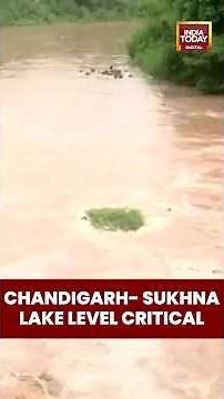 Chandigarh Sukhna Lake Water Level Nears Danger One Flood Gate Opened Flood Alert Issued #rainalert
