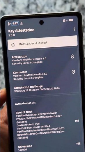 Bootloader Locked in a Custom ROM 🤯
