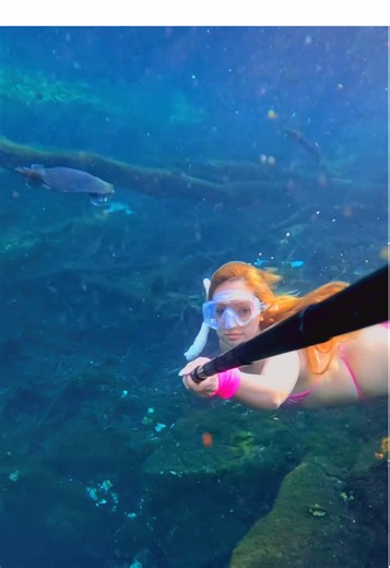 Freediving with a Florida Softshell Turtle