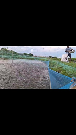 46 reactions | Unity Farm on Reels | Facebook