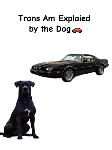 Trans Am Explained by Diesel! #trans am #Racing #RaceCarLegend #Dog #CAR