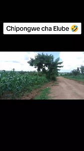 Chipongwe cha Elube 🤣 #NdiChifukwaChani | S Bizzo