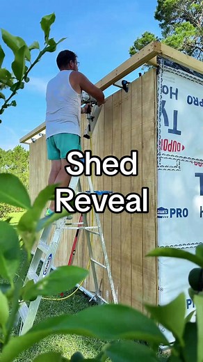 DIY Shed Build and Reveal in 68 Seconds