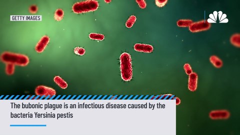 Arizona patient dies in emergency room from plague
