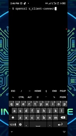Hackers Use This To Check SSL Security 🔐