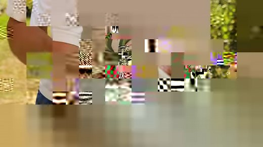 In diesem Video beschreibt Dr. pharm. Hans-Martin Hirt die Richtige Handhabung mit der Pflanze Artemisia annua. Von der Aussaat, zum Anbau, zur Vermehrung zur Einnahme. Hier finden Sie alle relevanten Infos kurz und effizient zusammengefasst. | Artemisia annua anamed
