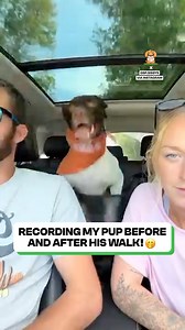 From bouncy to extremely sleepy 😂💤 | Fluffy Animals