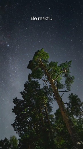 O Cometa Que Sobreviveu Ao Sol