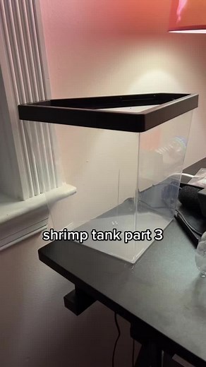 Shrimp Tank Update: Water Conditioner and Sealant Application