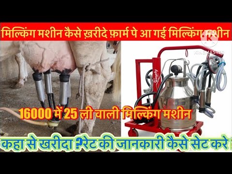 Milking machine has arrived on the farm. Where to buy, rate and how to use it, all information. M...