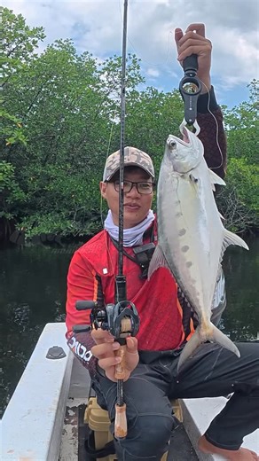 A-ndy on Instagram: "Queen fish muara Set @daidofishingteam Rod : daido carnivore 12lb Reel : daidoxdmk chetaah Mainline : 0.8 daido kingkong Leader : 30lbs Lure : SF udang #casting #fishing"