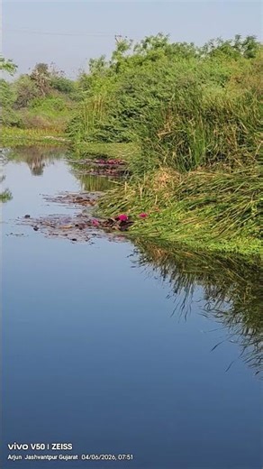 Kabhi suna hai apne 🥺💔❤️‍🩹#ishqwalaofficial1 #samasaya #subah #saveratimes #deepshayari