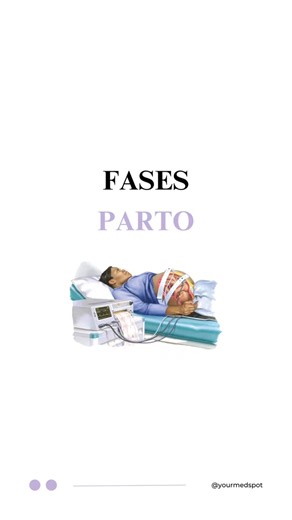 Enfermería auxiliar on Instagram: ""🤰 ¿Conoces las fases del parto? 🤔 Te explicamos las tres etapas principales del nacimiento de tu bebé: - Fase 1: Dilatación (la más larga, con contracciones y dilatación del cuello uterino). - Fase 2: Expulsión (el nacimiento del bebé). - Fase 3: Alumbramiento (la expulsión de la placenta). ¡Comparte esta información y ayuda a otras futuras mamás a estar preparadas! #FasesDelParto #Embarazo #Nacimiento #Maternidad #InformaciónParaMamás"#EnfermeríaAuxiliar #C