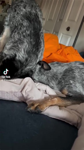 kevintbarry (@kevintbarry)’s videos with original sound - kevintbarry