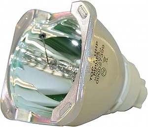 for Digital Projection 111-150 Original Philips Projector Bulb (Bare Bulb ONLY)