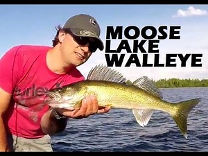 Moose Lake Alberta Walleye Fishing