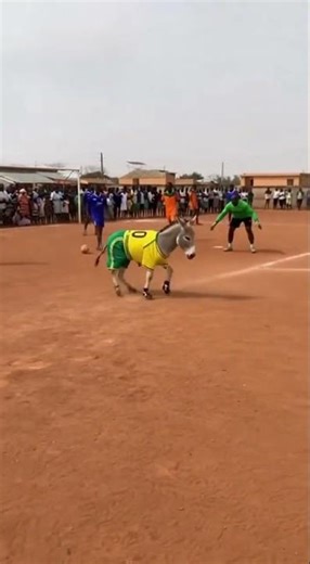 African football Moments You Can't Miss! ( part 7 😂😂) Try Not to Laugh