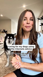 what would I do without the dog experts? 🤔 💭 #Husky #Puppy #DogVideos #FunnyDogs | Levi the Husky Rescue