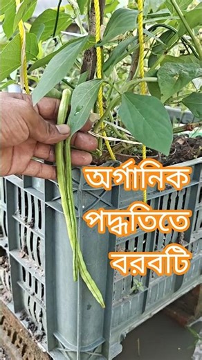 Organic Farming Techniques #organic #bonsai #garden #farming @Bonsai_arts_and_Organics