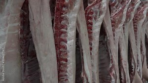 Pork is eaten both freshly cooked and preserved. Curing extends the shelf life of the pork products. Ham, smoked pork, gammon, bacon and sausage are examples of preserved pork.