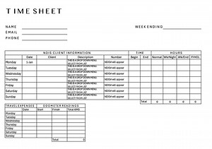 NDIS Timesheet With Petrol Allowance & NDIS Description and Numbers - Etsy