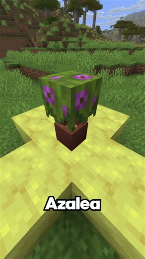 THE 40 DIFFERENT MINECRAFT FLOWER POTS