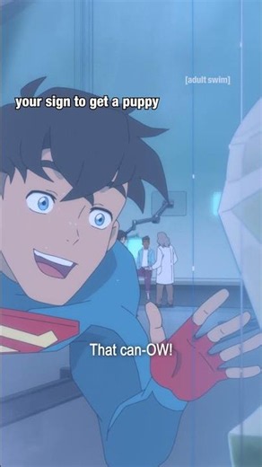 Golden retriever behaviour | My Adventures With Superman | Adult Swim Europe