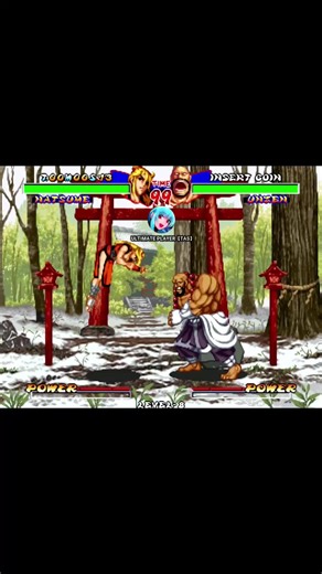 Ninja Masters Natsume Combos Explained