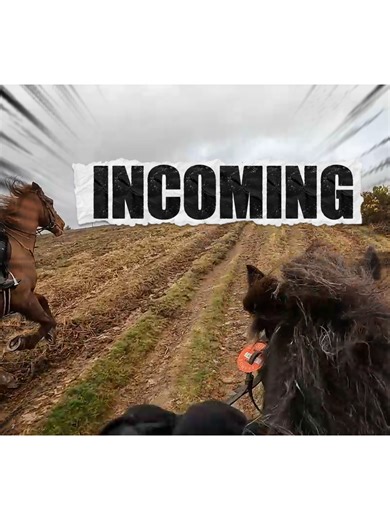 Avoiding Cantering Near Other Horses