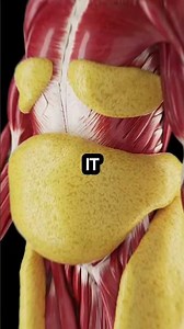 The Bedtime Honey Trick Big Pharma Hates