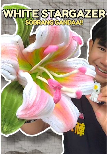 Gorgeous Stargazer Lily Experiment with Fuzzy Wire