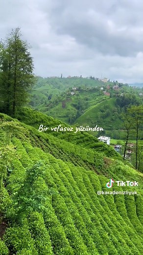 Karadeniz Şarkıları ve Damar Müzikleri