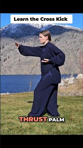 Practice High Pat on Horse to Cross Kick - Yang Family Tai Chi Practice