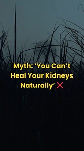 Let’s bust this dangerous myth: ❌ “Once kidneys start failing, there’s nothing you can do.” ✅ The truth? Many people are reversing early kidney disease naturally by focusing on: – Anti-inflammatory diet – Specific herbs (like nettle, turmeric, parsley) – Reducing toxin load Thousands are already healing. You can too. 👉 See what they’re using: https://bit.ly/m/kidneycoach #kidneydisease #ckd #kidneydiseasewarrior | The Kidney Disease Solution